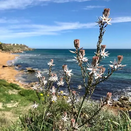 Prázdninový dům Casa Indipendente Con Accesso Diretto Al Mare