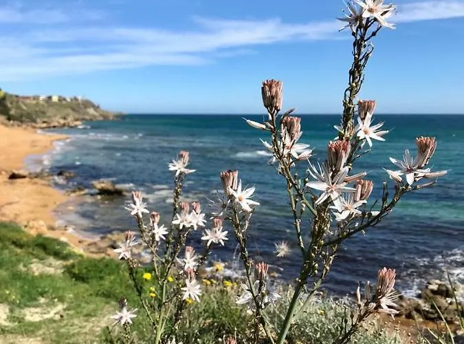 Casa vacanze Casa Indipendente Con Accesso Diretto Al Mare